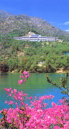 �����Y��