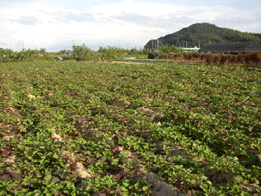 ���@�艀�̉摜